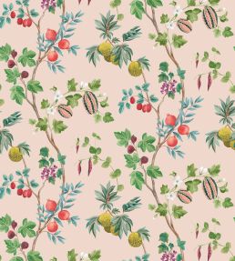Orchard Wallpaper by Osborne & Little 4