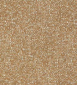 Orion Fabric by Clarke & Clarke Spice