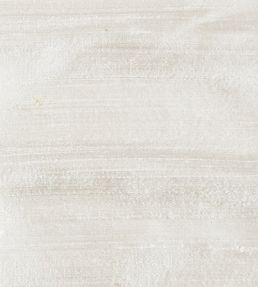 Orissa Silk Fabric by James Hare Mica