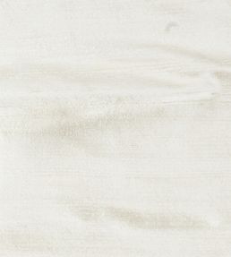 Orissa Silk Fabric by James Hare Pearl