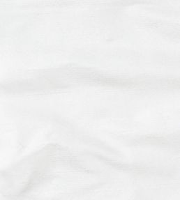 Orissa Silk Fabric by James Hare Smooth Ivory