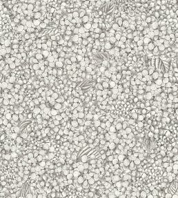 Ortensia Wallpaper by Cole & Son Black & White