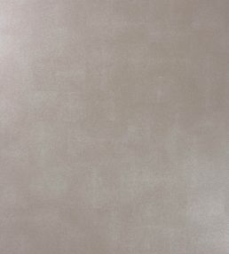 Zingrina Wallpaper by Osborne & Little Metallic Pewter