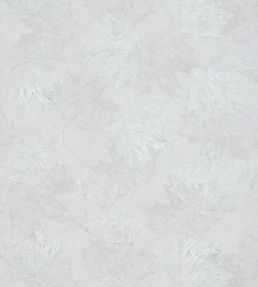Sycamore Wallpaper by Osborne & Little 3