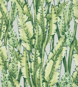 Tiger Leaf Wallpaper by Osborne & Little 2