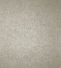 Mako Wallpaper by Osborne & Little Taupe