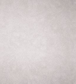 Mako Wallpaper by Osborne & Little Linen