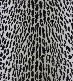 Pantanal Wallpaper by Osborne & Little Metallic Gilver/Black