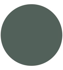 Ottilie 1829 Eggshell Paint by Craig & Rose Ottilie