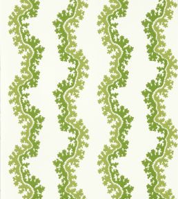 Oxbow Wallpaper by Sanderson Sap Green