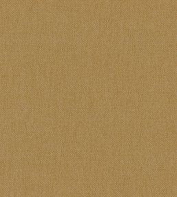 Oxford Fabric by Warwick Mustard