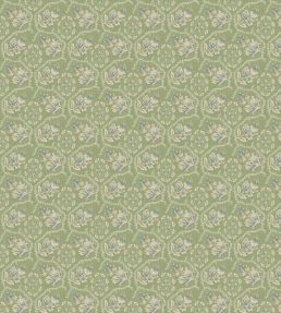 Pagelle Fabric by Nina Campbell Green