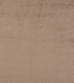 Palace Silk Velvet Fabric by Ralph Lauren Wren