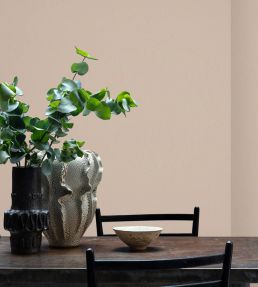 Pale Cashmere 1829 Eggshell Paint by Craig & Rose Pale Cashmere