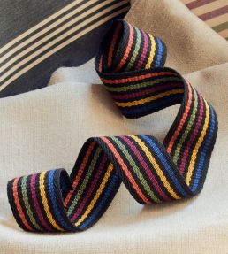 Palette Stripe Braid Trimming by Ian Mankin Cinder