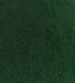 Palis Velvet Fabric by Ian Sanderson Bay Leaf