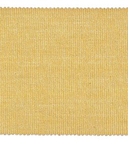 Palladio Braid 65mm Trimming by Houles 9100