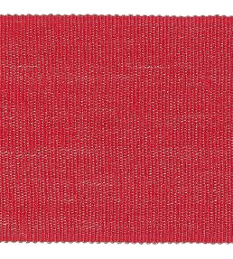 Palladio Braid 65mm Trimming by Houles 9500