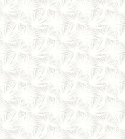 Palm Silhouette Wallpaper by Ohpopsi Cloud