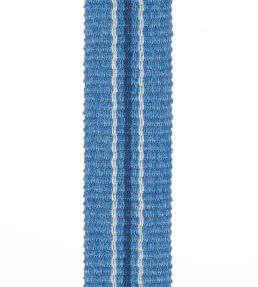 Palma Braid 20mm Trimming by Houles 9600