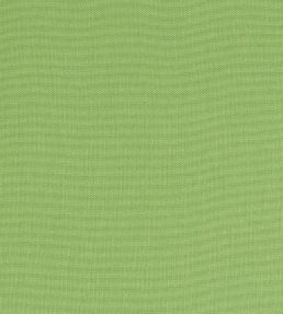 Palmer Fabric by Thibaut Kiwi