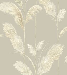 Pampas Grass Wallpaper by Brand McKenzie Oatmeal