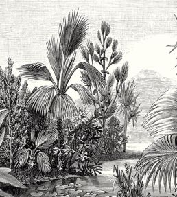 Balade Sauvage Mural by Caselio Noir et Blanc
