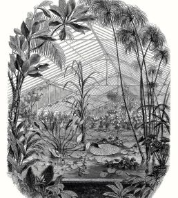 Jardin D'hiver Mural by Caselio Noir et Blanc