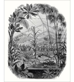 Jardin D'hiver Mural by Caselio Noir et Blanc