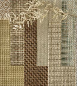 Papyrus Wallpaper by Osborne & Little Apple