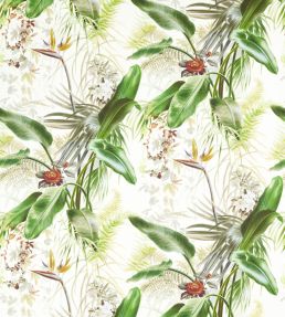 Paradise Row Wallpaper by Zoffany Evergreen