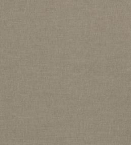 Paradiso Fabric by Clarke & Clarke Ash