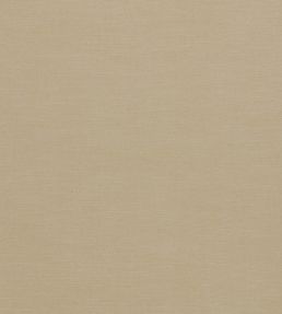Paradiso Fabric by Clarke & Clarke Buff