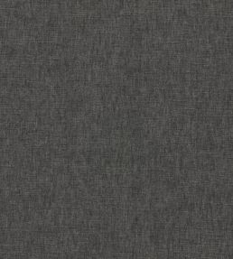 Paradiso Fabric by Clarke & Clarke Charcoal