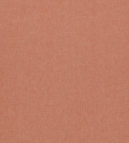 Paradiso Fabric by Clarke & Clarke Coral