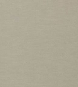 Paradiso Fabric by Clarke & Clarke Dove