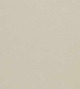 Paradiso Fabric by Clarke & Clarke Ivory