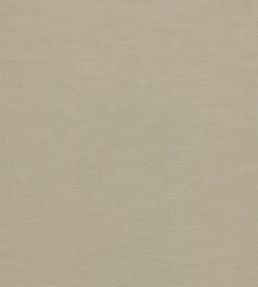 Paradiso Fabric by Clarke & Clarke Linen