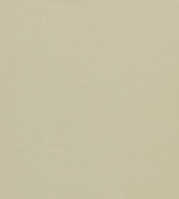 Paradiso Fabric by Clarke & Clarke Natural