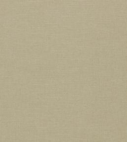 Paradiso Fabric by Clarke & Clarke Oatmeal