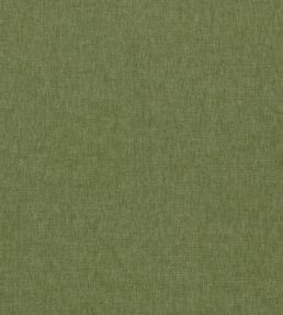 Paradiso Fabric by Clarke & Clarke Olive