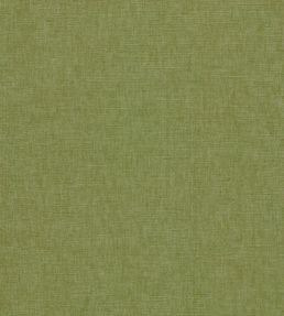 Paradiso Fabric by Clarke & Clarke Palm