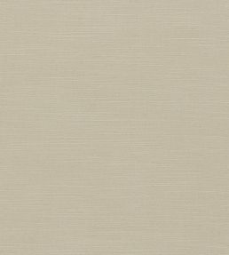 Paradiso Fabric by Clarke & Clarke Pebble