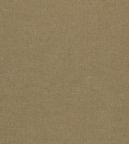 Paradiso Fabric by Clarke & Clarke Sesame