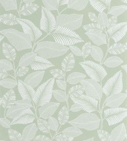 Paraty Wallpaper by Casadeco Vert Celadon