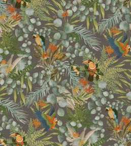 Parrot Wallpaper by Jannelli&Volpi Charcoal