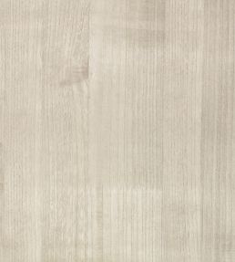 Paulownia Wallpaper by Zinc Moonbeam