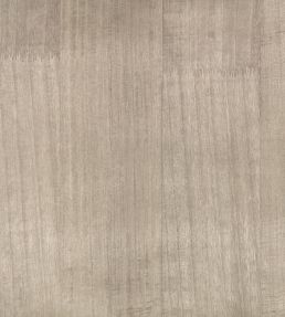 Paulownia Wallpaper by Zinc Silver Grey