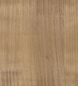 Paulownia Wallpaper by Zinc Tobacco