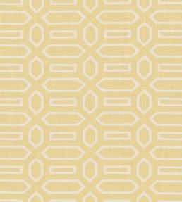 Pavilion Fabric by Schumacher Straw